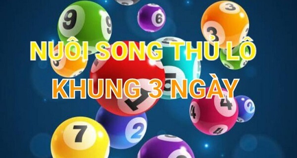 Cách nuôi lô song thủ khung 3 ngày chính xác nhất