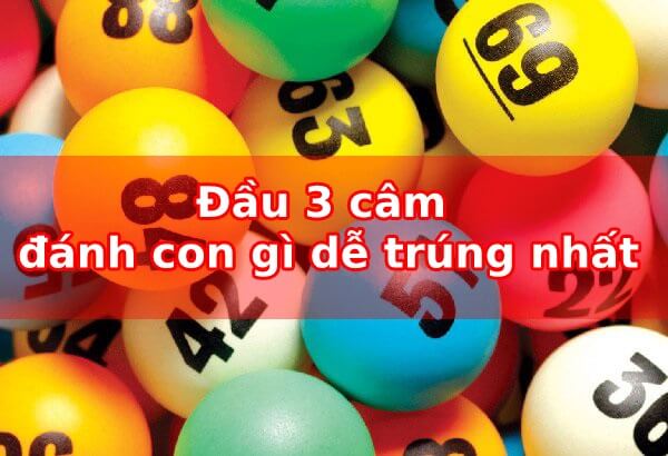 Đầu 3 câm hôm sau đánh con gì dễ trúng?