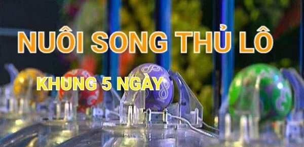 Cách nuôi song thủ lô khung 5 ngày 