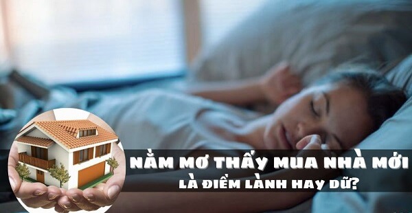 Nằm mơ thấy mua nhà đánh số mấy, con gì?