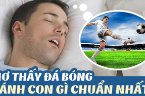 Nằm mơ thấy đá bóng đánh con gì? Điềm báo hên hay xui?