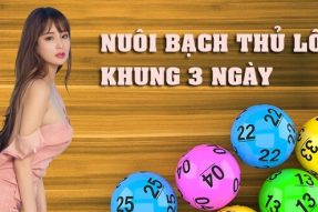 Bạch thủ lô khung 3 ngày miễn phí, ăn liên tục