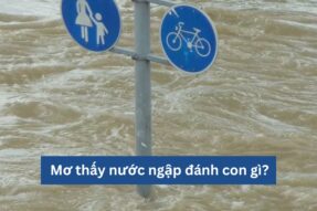 Mơ Thấy Nước Ngập: Thế Giới Tâm Linh Muốn Nhắn Nhủ Điều Gì?