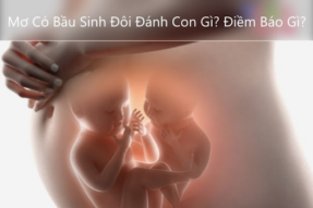 Nằm mơ sinh đôi – Ý nghĩa và điềm báo đằng sau giấc mơ